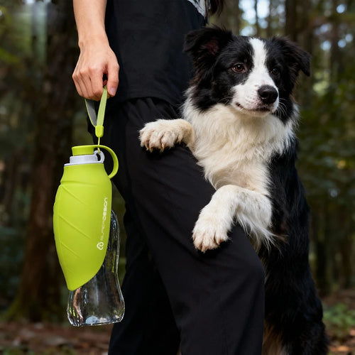 Portable Dog Water Bottle with Foldable Bowl